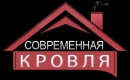 Современная кровля