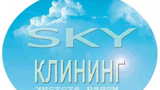 Skyклининг